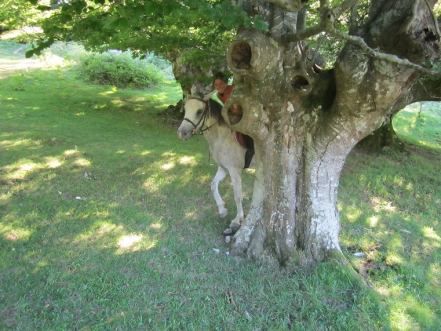 En la naturaleza